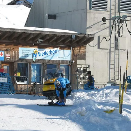 Berg- Und Seeblick By Interhome Beatenberg
