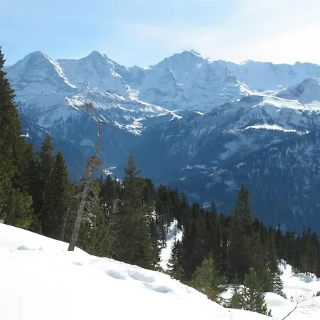 Berg- Und Seeblick By Interhome Beatenberg