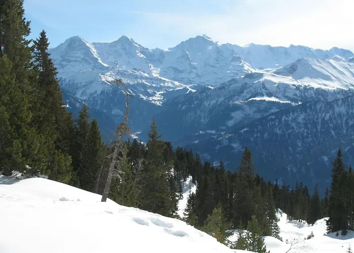 Berg- Und Seeblick By Interhome بيتنبرغ